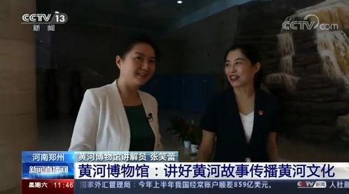 央视爆料河南新闻事件,央视揭露的背后真相